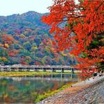 渡月橋(Togetsukyō Bridge)