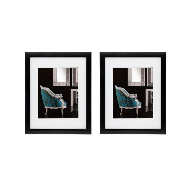Philip Whitney Black 11" x 14 Frame - Set of 2