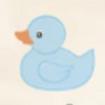 The Blue Duck