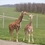 Lake Tobias Wildlife Park