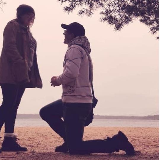 The proposal - February 15, 2020