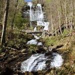 Amicalola Falls State Park