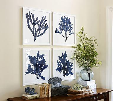 Framed Coral Prints - Indigo - Set of 4