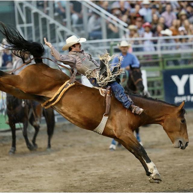 Famous Jackson Hole Rodeo