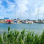 Harbor Park