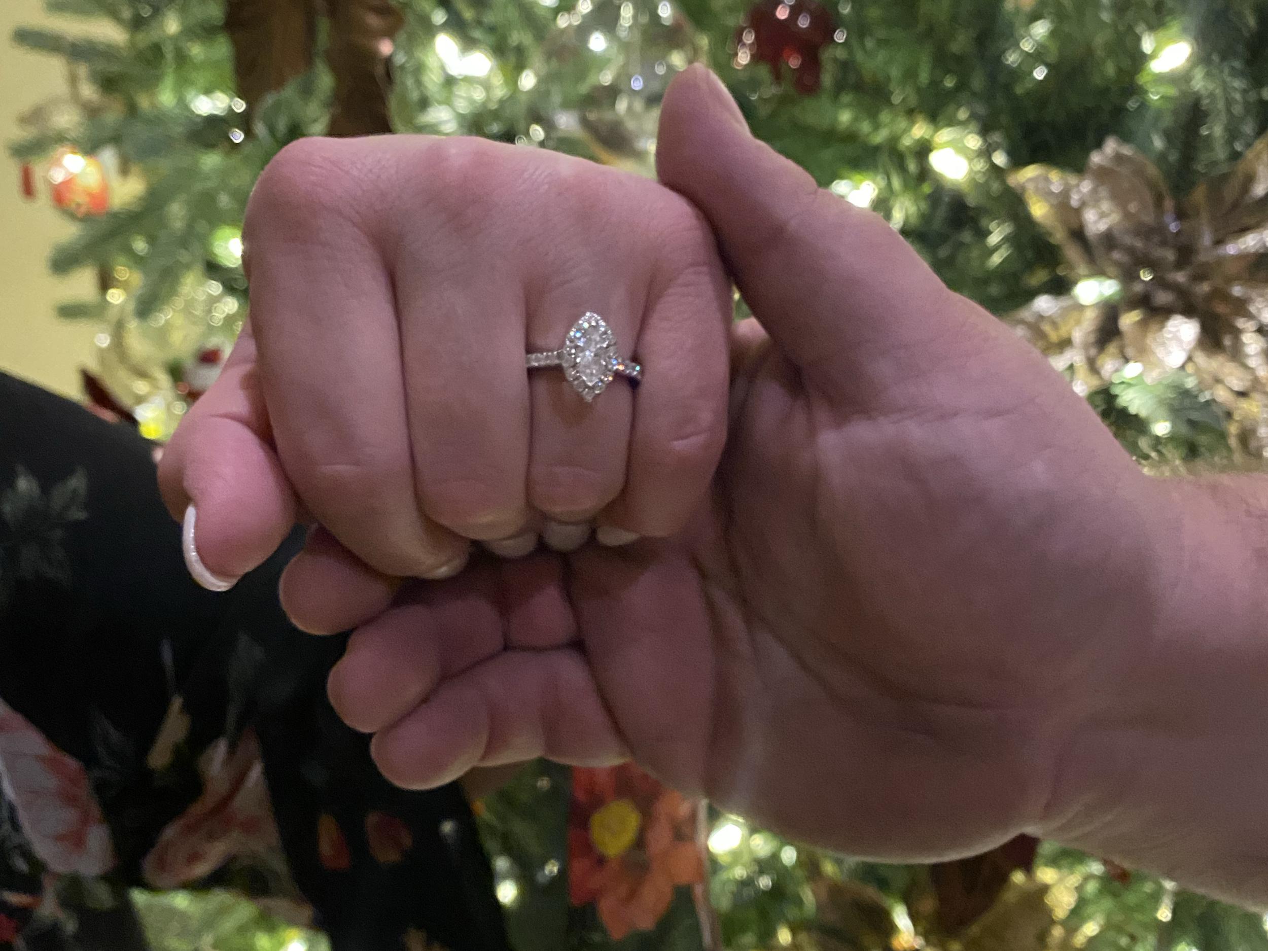 The Wedding Website of Nicole Volpini and Christopher Noulis