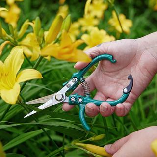 Gardening Shears