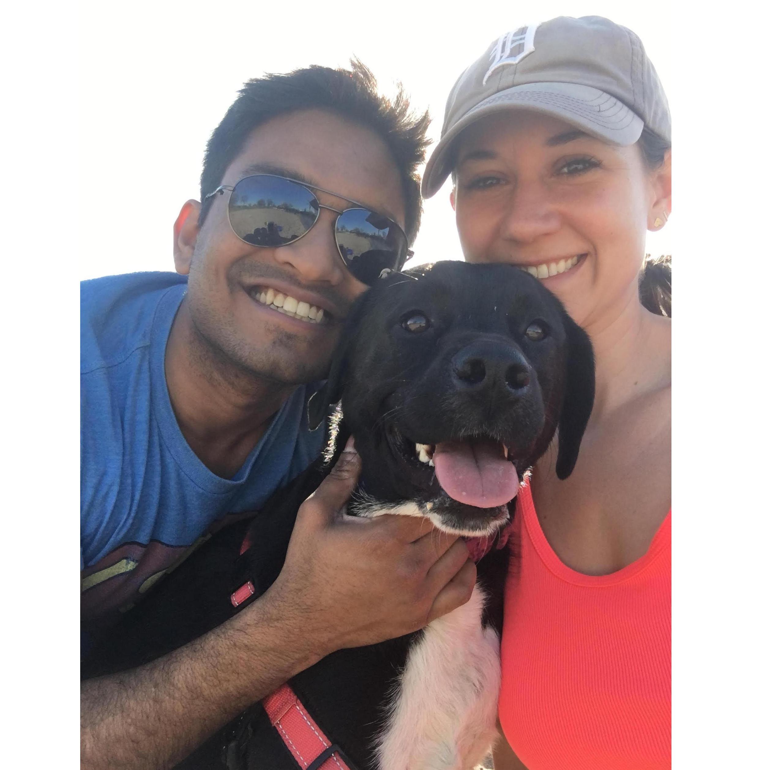 Sophie, our third family member. Belle Isle, Detroit, MI
