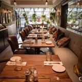 White Dog Cafe