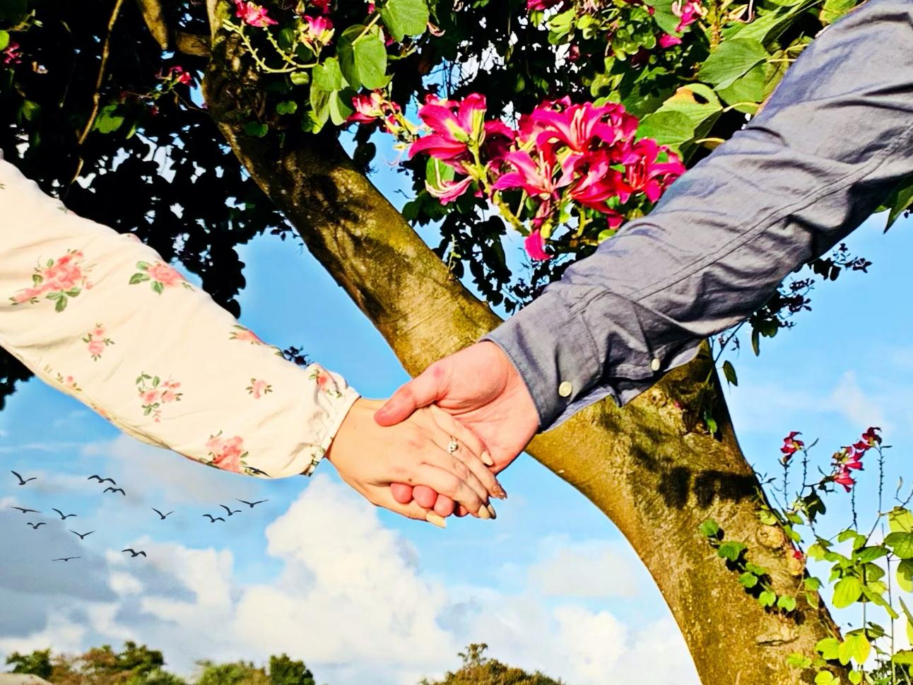 The Wedding Website of Rosey McDaniel and Desmond Collins