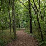 Park University Trail