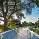 Westonbirt Arboretum