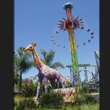 Six Flags Discovery Kingdom