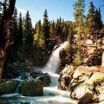 Alberta Falls (Easy Hike)