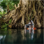 Sandos All Nature Experience