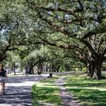 Audubon Park