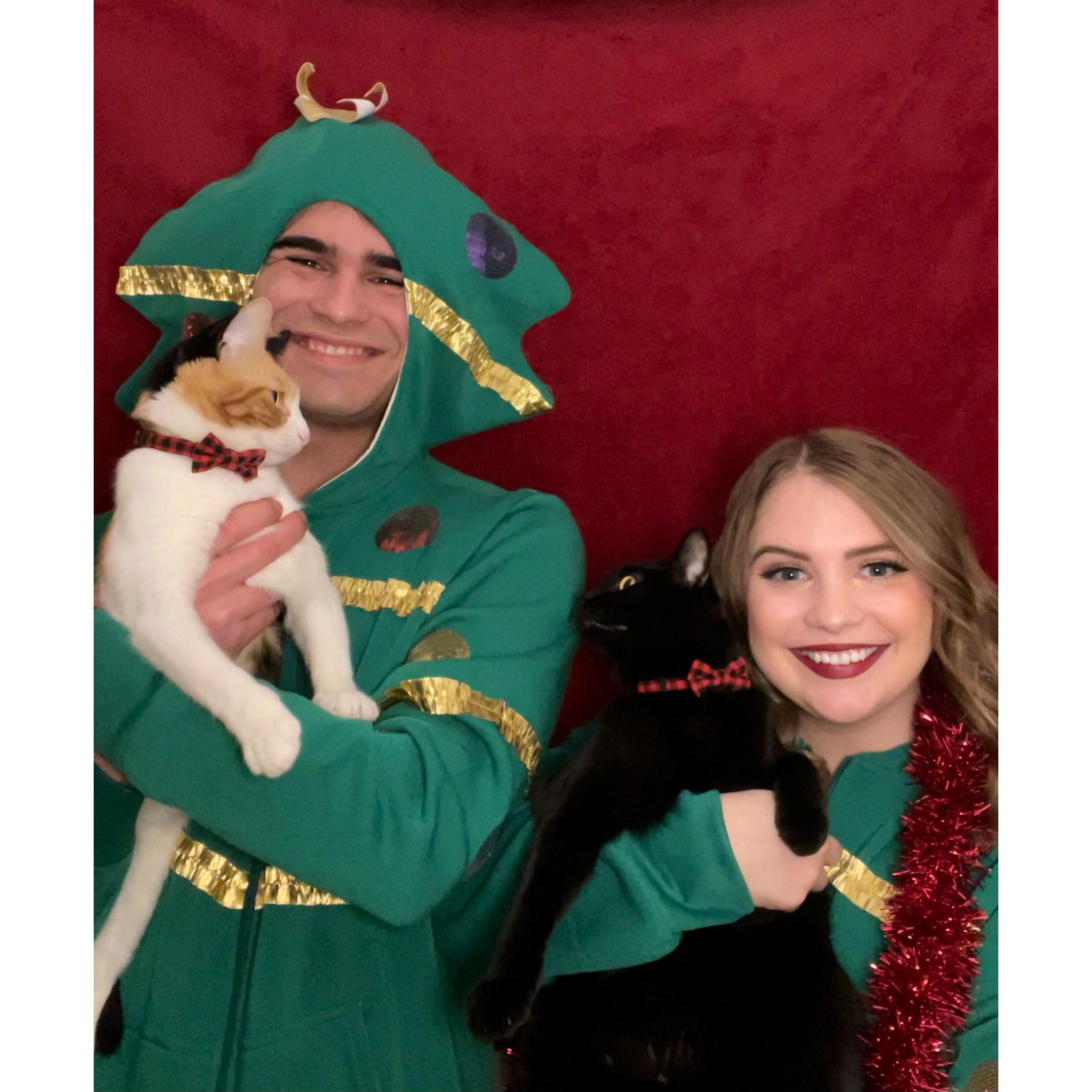 We became parents of two fiesty fur babies.