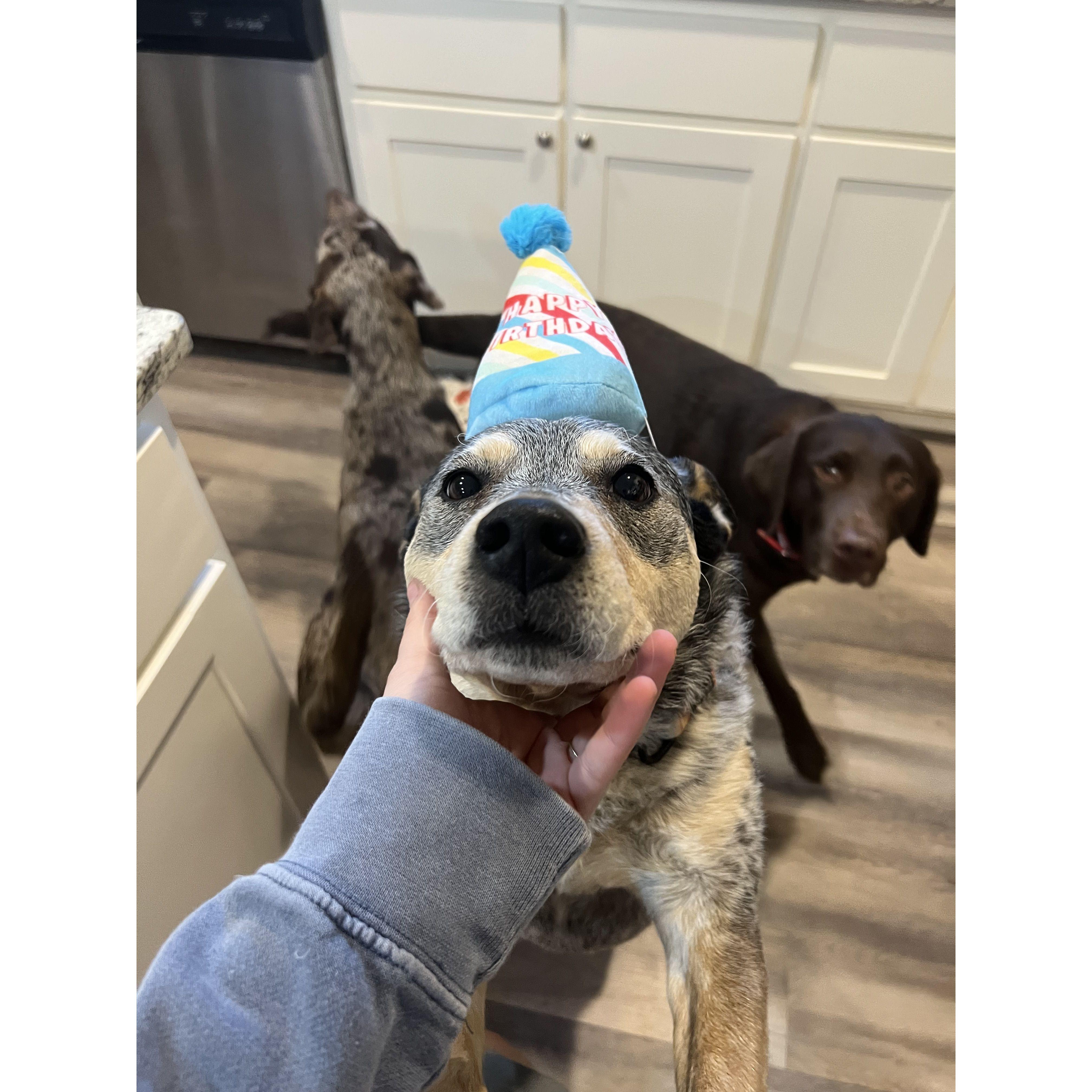 BIRTHDAYS