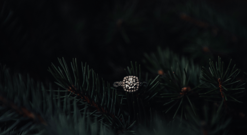 Footer image