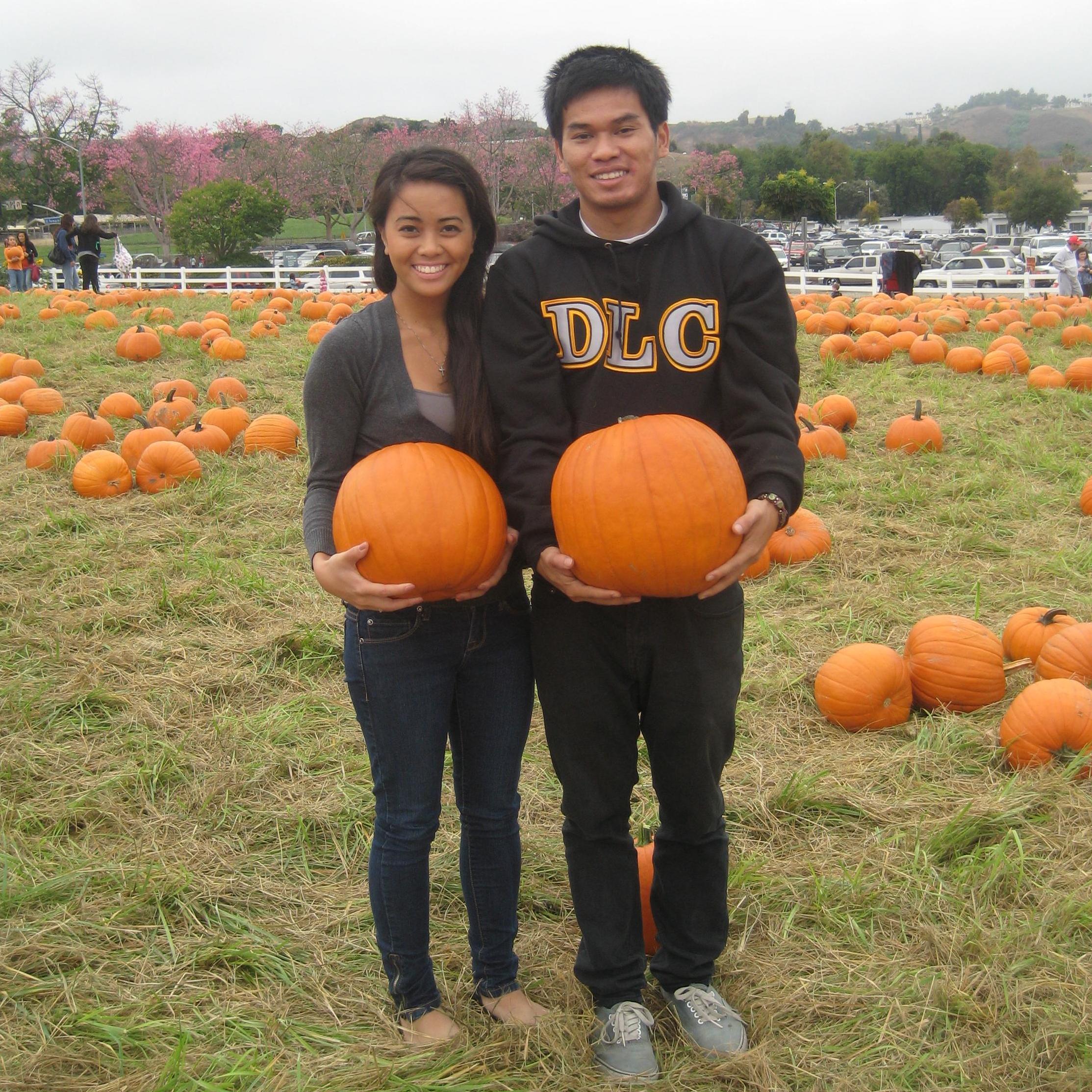 Typical pumpkin patch photo