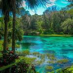 Rainbow Springs State Park