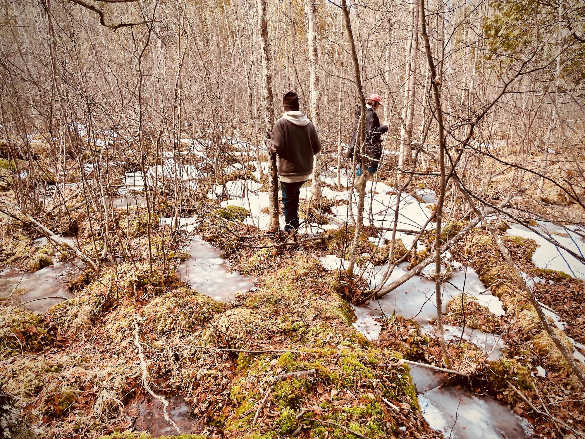 Exploring the fen.