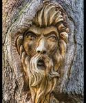 Search for St. Simons Island tree spirits