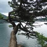 Moran State Park