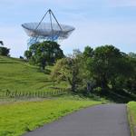 Stanford Dish