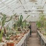 New Orleans Botanical Garden