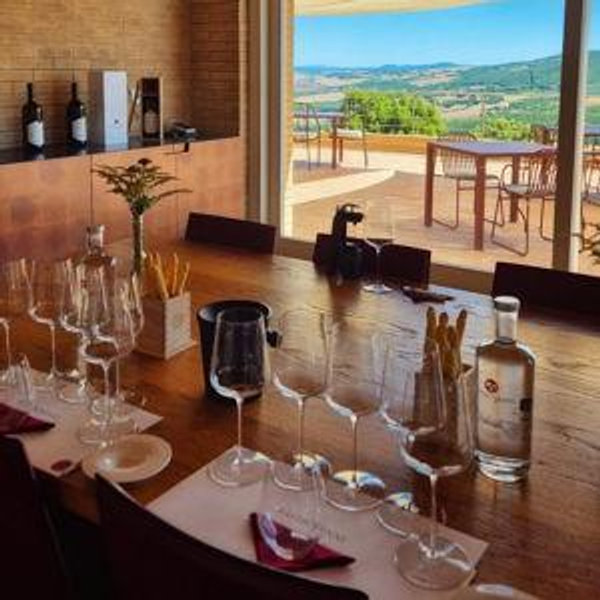 Wine Tour 2