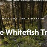 Hike or mountainbike the Whitefish Trails