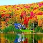 Fall Foliage in New England
