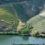 Douro Valley