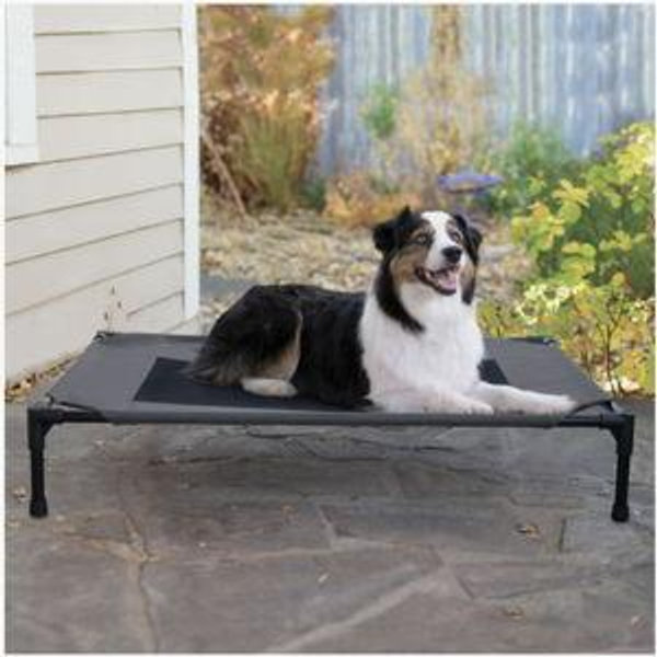 K&H PET PRODUCTS Original Steel Frame Pet Cot Elevated Dog Bed, Charcoal/Black, Large - Chewy.com