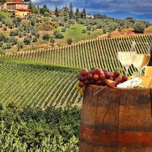Italian Winery Experience Fund