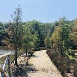 Bayard Cutting Arboretum