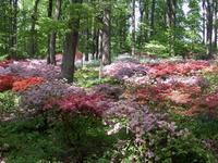 Winterthur