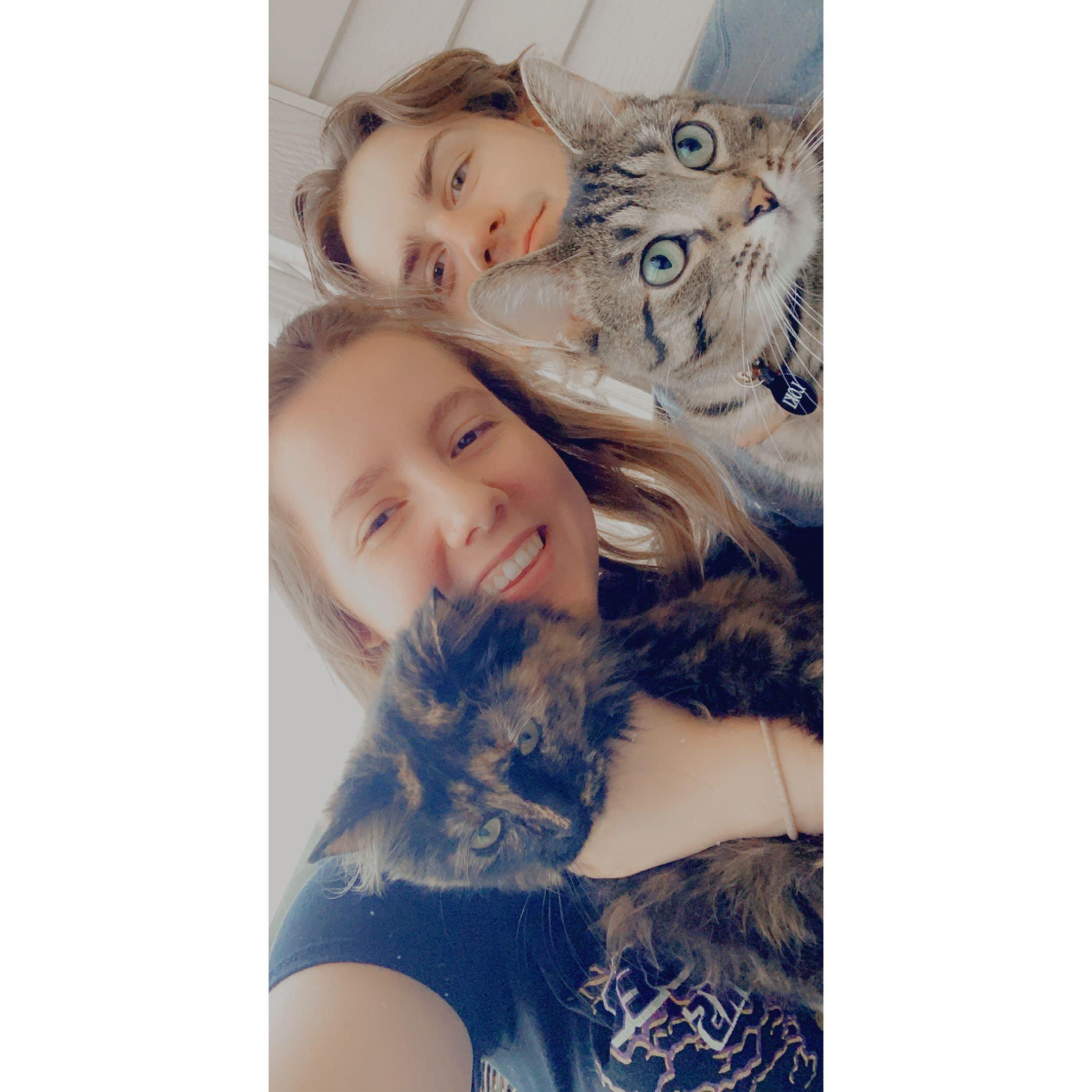 When we got our second kitty Loki one of our only "family pictures" because they can't sit still haha