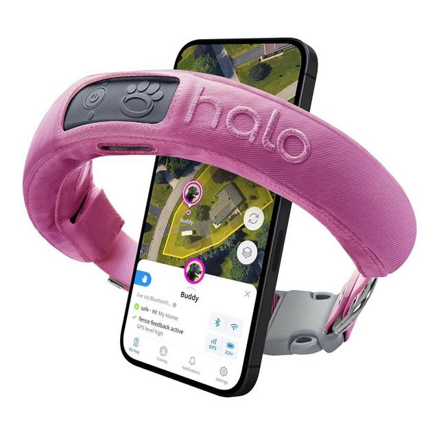 Halo Collar 3 - GPS Dog Fence - Multifunction Wireless Dog Fence & Training Collar with Real-Time Tracking & GPS - Waterproof, Instantly Create and Store Wireless Fences (Medium/Large, Orchid)
