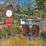 Clif Family Winery