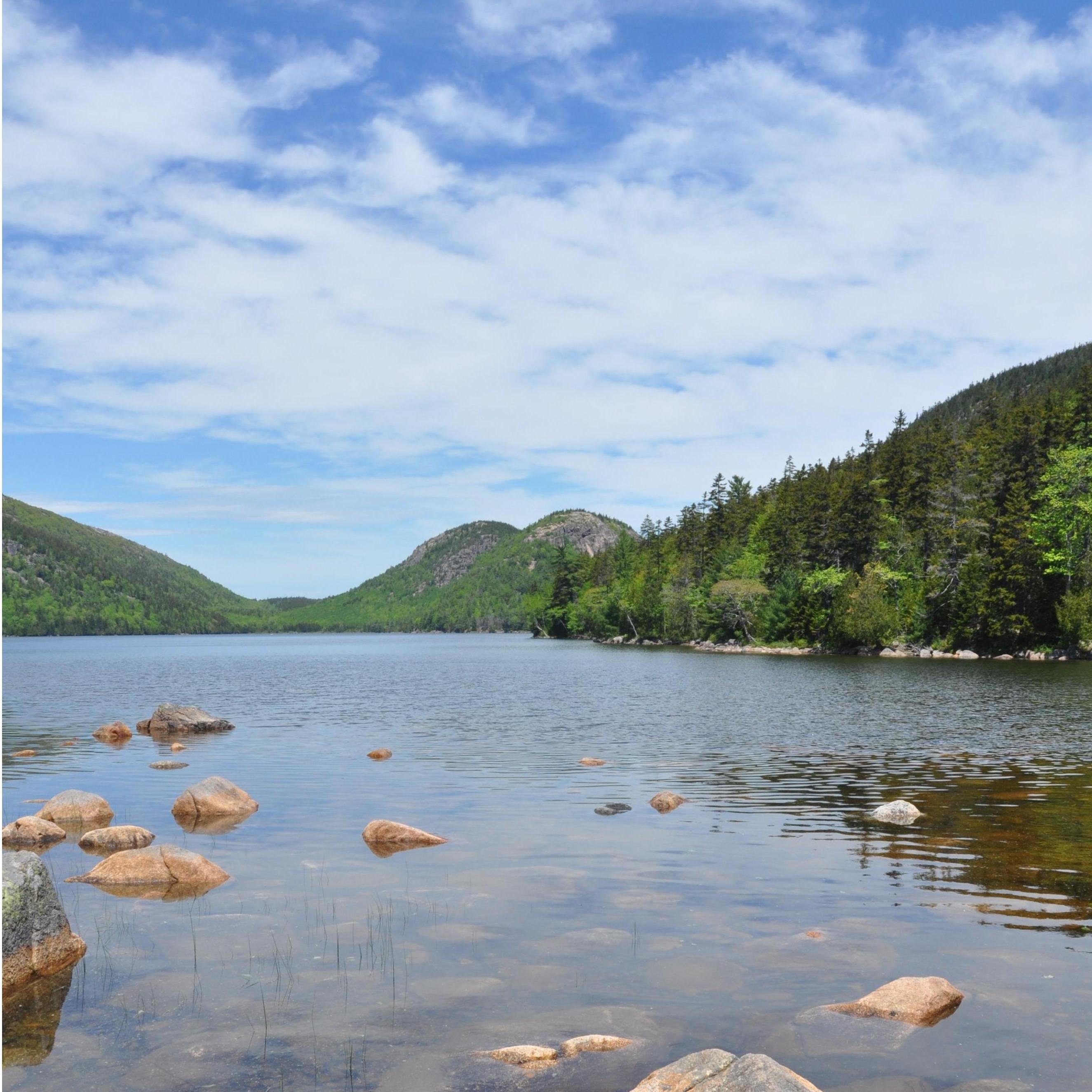 The Bubbles across Jordan Pond