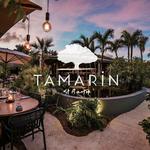 Le Tamarin (Dinner)