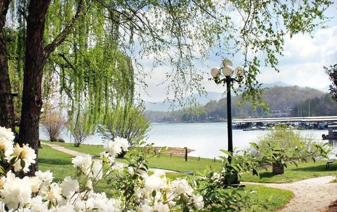 The Wedding Website of Hector Mora and Jordan Petras