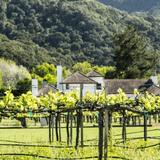 Monterey Wine Country