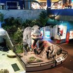 Saint Louis Science Center