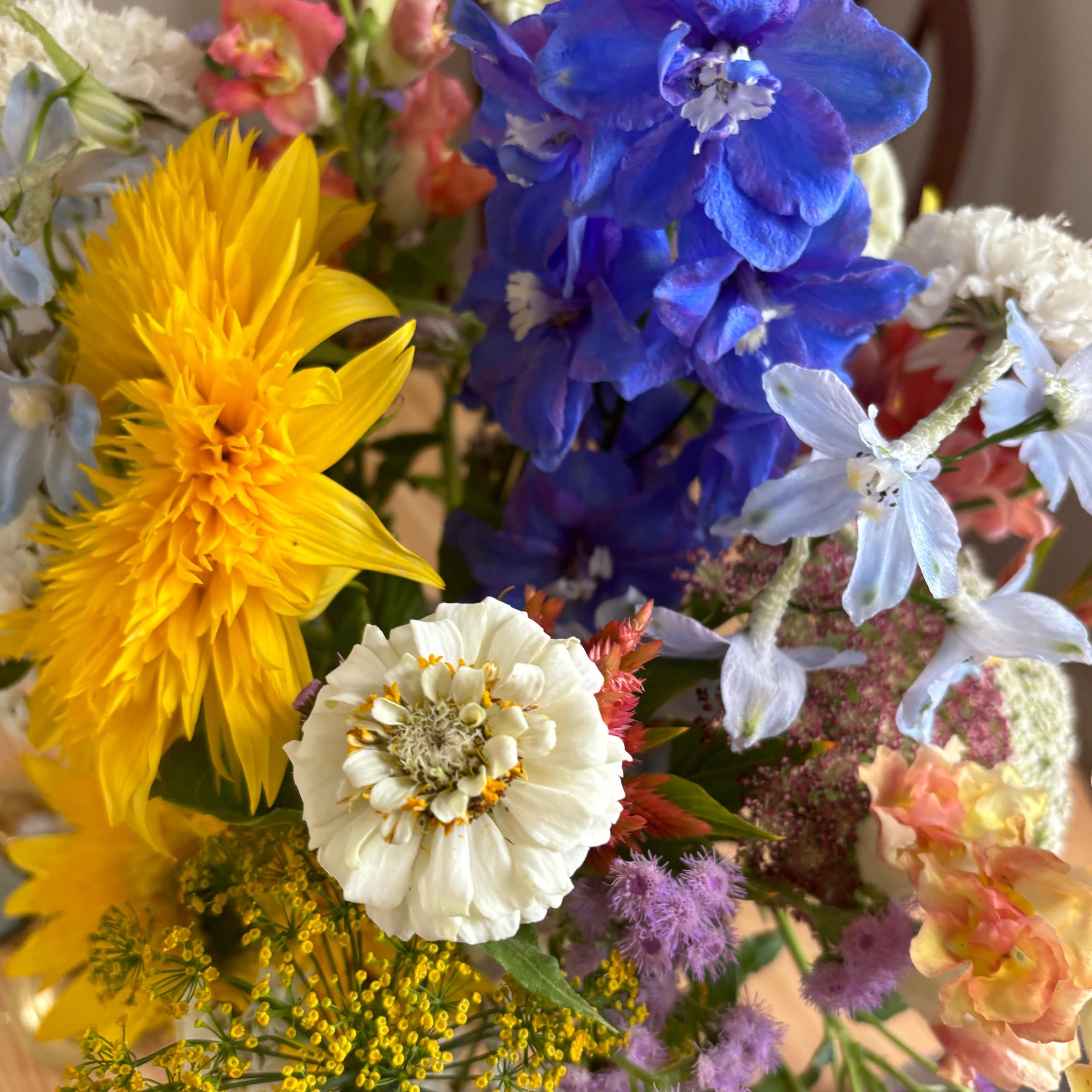 Hero Slideshow Image 3