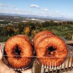 Carter Mountain Orchard