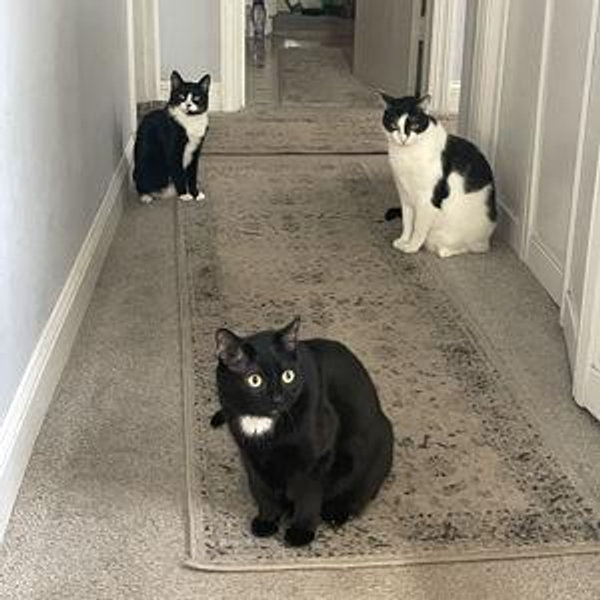 Making Our House a Home Fund