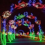 Baypoint Credit Union Holiday Lights at The Beach